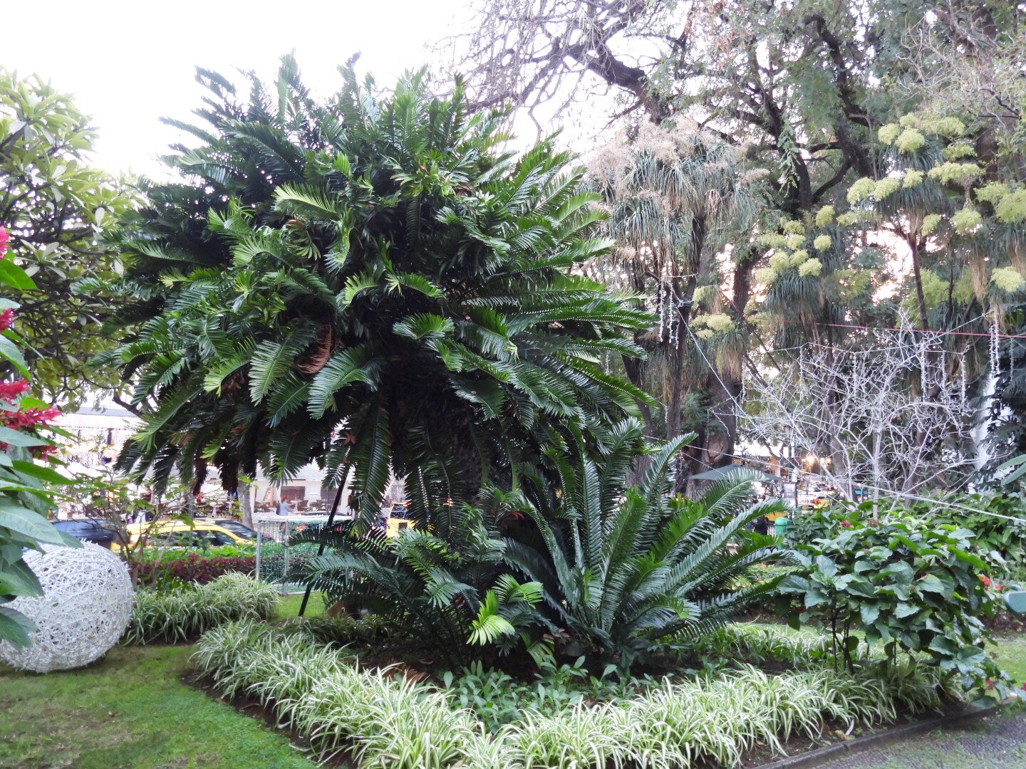 Espaço Verde de Almeirim